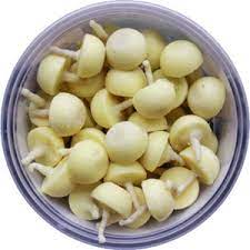 GHEE DIYA BATI (WAT)